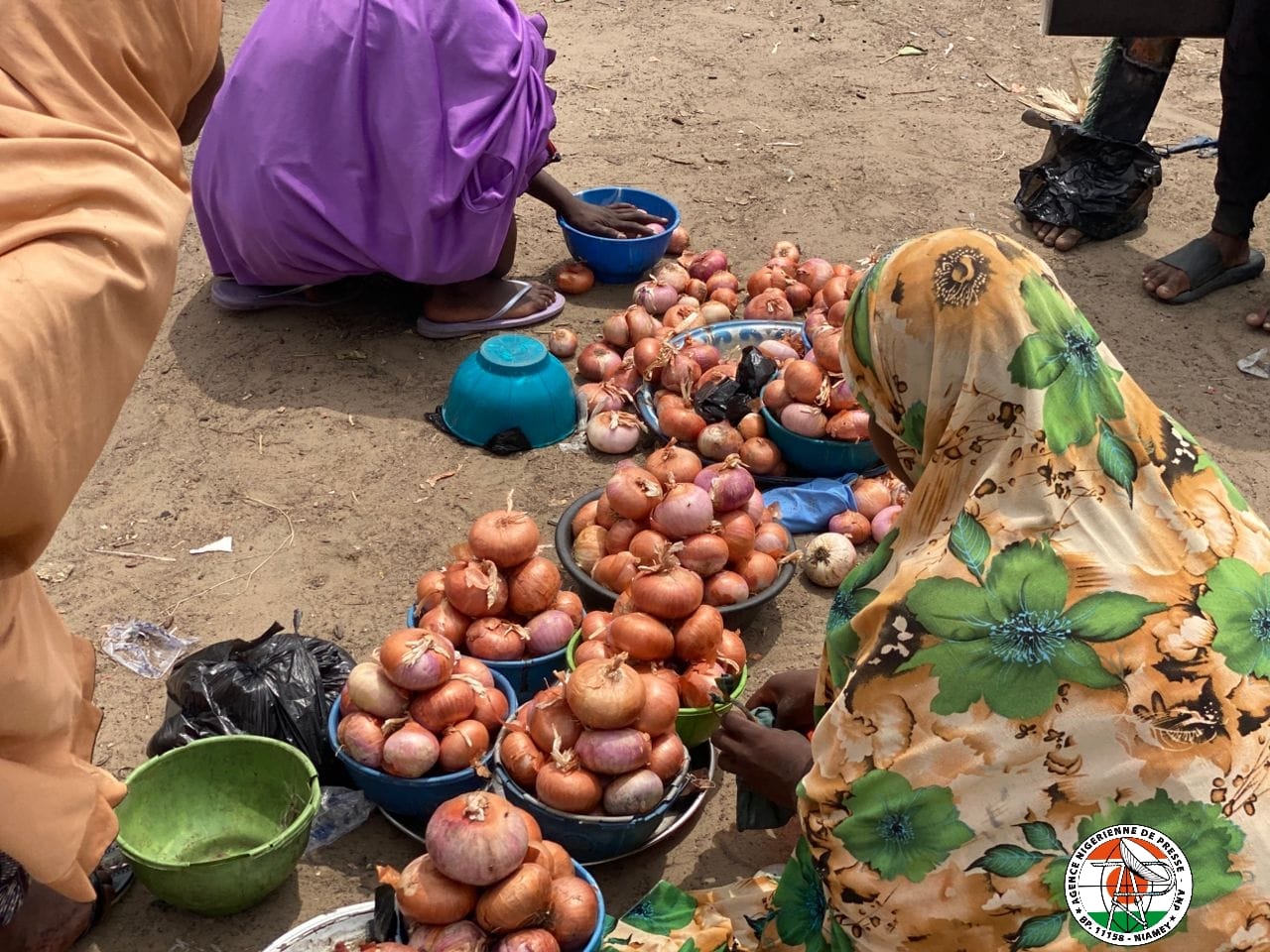 Le Commerce d'Oignons à Diffa : Symbole de Résilience et d'Intégration