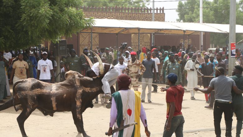 Maradi célèbre sa tradition ancestrale de tauromachie 'Hawan Kawo'