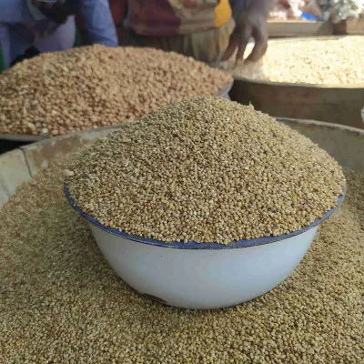 Baisse des prix des céréales au Niger : une saison maigre sous le signe de l'abondance