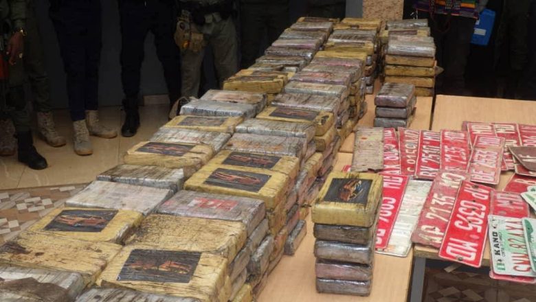 Le Niger, rempart contre le trafic de drogue au Sahel : succès et défis de l'OCRTIS