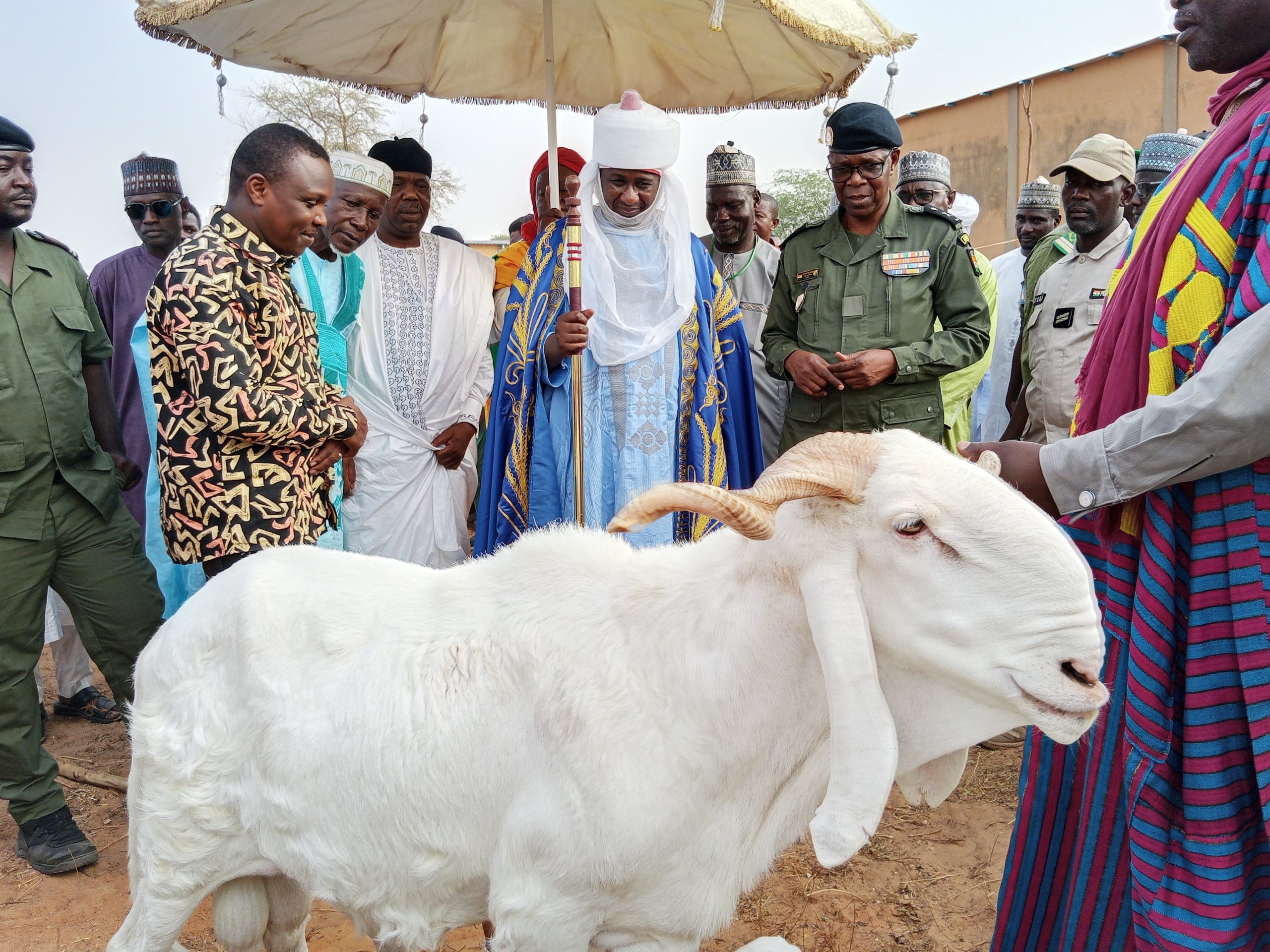 10ème Foire des Petits Ruminants à Maradi : Valoriser l'élevage pour un Niger autonome