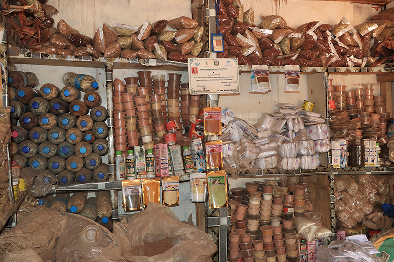 Niger : Encadrement Strict de la Pharmacopée Traditionnelle